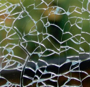 splitterbild-esg300x30