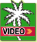 Flash Video